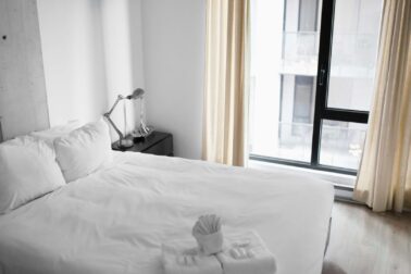 O que são bed bugs e quais os cuidados devo tomar O que são bed bugs e quais os cuidados devo tomar