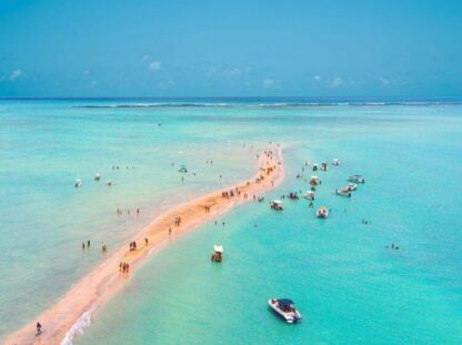 O que conhecer em Maragogi