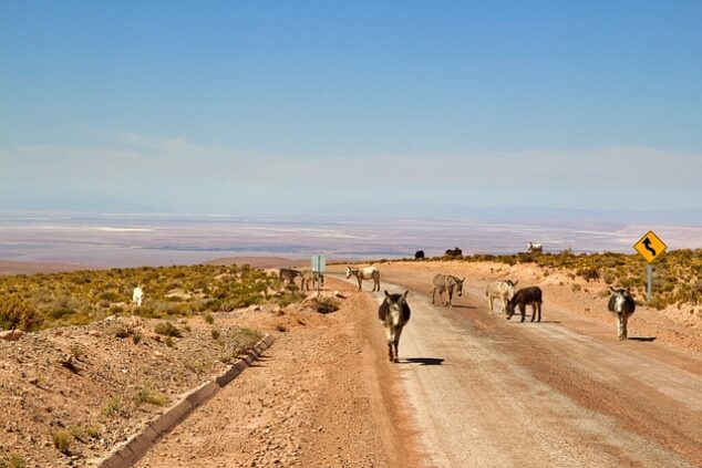 Deserto do Atacama e Salar de Uyuni – um roteiro para quem ama a natureza