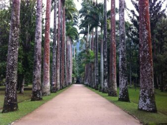 Melhores parques e jardins no Rio de Janeiro