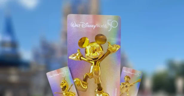 O que são os ingressos Park Hopper da Disney.