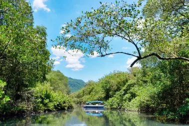 Ilha da Gigóia, Rio de Janeiro: como chegar e o que fazer Ilha da Gigóia, Rio de Janeiro: como chegar e o que fazer