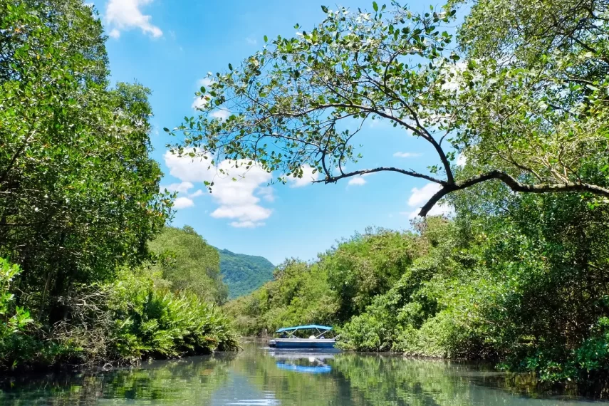 Ilha da Gigóia, Rio de Janeiro: como chegar e o que fazer